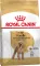 Корм для дорослих собак породи Пудель ROYAL CANIN POODLE ADULT 1.5 кг — Фото 4