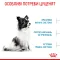 Сухий корм Royal Canin XSMALL PUPPY для цуценят мініатюрних порід 1,5 кг — Фото 14