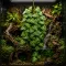 Штучна рослина Hobby Climber Heartleaf 70 см (37727) для тераріуму, акватераріуму та палюдаріуму — Фото 5