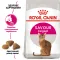 Сухий корм Royal Canin EXIGENT SAVOUR для котів всіх порід 4 кг — Фото 7