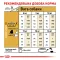Сухий корм Royal Canin FRENCH BULLDOG ADULT для дорослих собак породи Французький бульдог 3 кг — Фото 11