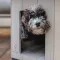 Ferplast Буда для собак дерев'яна — Фото 15