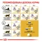 Сухий корм Royal Canin PERSIAN ADULT для персидських котів 2 кг — Фото 11
