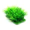 Штучна рослина Hobby Plant Pad 2 7x4,5x4,5см (51552) — Фото 6