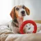 Ferplast SMILE M RED DOG RING — Фото 9
