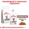 Дієтичний сухий корм Royal Canin GASTROINTESTINAL CAT для котів 2 кг — Фото 11
