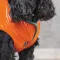 Жилет Pet Fashion «Spring» для собак, розмір XS2, помаранчевий — Фото 10