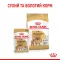 Сухий корм Royal Canin POMERANIAN ADULT для дорослих собак породи Померанський шпіц 1,5 кг — Фото 7