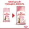 Сухий корм Royal Canin KITTEN STERILISED для кошенят всіх порід 0,4 кг+KITTEN STERILISED CIG 85 г — Фото 8