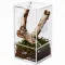 Тераріум акриловий Repti-Zoo Easy Clean Acrylic ACR46 10×10×20 см для комах, павуків — Фото 8