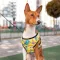Шлея для собак м'яка WAUDOG Clothes з QR-паспортом, малюнок "Рік та Морті 3", S2 B 46-50 см, C 43-45 см — Фото 11