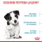 Сухий корм Royal Canin MINI PUPPY для цуценят малих порід 2 кг — Фото 13