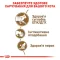 Вологий корм Royal Canin AGEING+12 для котів всіх порід 85 г — Фото 10
