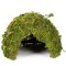 Схованка з моху Repti-Zoo Natural Mossy Dome M 14x10,5 (ERS25M) — Фото 7