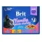 Набір вологих кормів Brit Premium Cat Pouch «Сімейна тарілка» для котів, асорті із 4 смаків, 12 шт х 100 г — Фото 6
