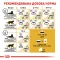 Сухий корм Royal Canin MAINECOON ADULT для котів породи Мейн-кун 10 кг — Фото 11