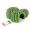 Декорація печера кактус Hobby Cactus Home 1 22,5x22x10см (36241) — Фото 9