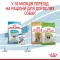 Сухий корм Royal Canin XSMALL PUPPY для цуценят мініатюрних порід 1,5 кг — Фото 13