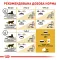 Сухий корм Royal Canin BENGAL ADULT для котів породи Бенгал 2 кг — Фото 11