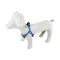 Шлея капронова "Геометрія блакитна" 25мм/50-81см/902, Lucky Pet — Фото 3