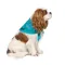 Бандана Pet Fashion «Weekend» для собак, розмір XS-S, блакитна — Фото 3