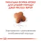 Сухий корм Royal Canin JACK RUSSEL PUPPY для цуценят породи Джек Расел Тер`єр 1,5 кг — Фото 10