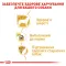 Сухий корм Royal Canin YORKSHIRE ADULT для дорослих собак породи Йоркшир-тер'єр 1,5 кг — Фото 8