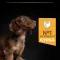 Сухий корм PRO PLAN Small &amp; Mini Puppy <1 Healthy Start для цуценят дрібних порід з куркою 3 кг — Фото 15