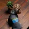 Толстовка Pet Fashion "I stand with" для собак, розмір M, сіра — Фото 5