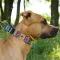 Нашийник для Собак Мартінґейл BronzeDog Urban Нейлоновий з Металевою Фурнітурою Ацтеки XL — Фото 12