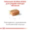 Сухий корм Royal Canin CHIHUAHUA PUPPY для цуценят породи Чихуахуа 1,5 кг — Фото 10