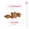 Сухий корм Royal Canin MINI ADULT для дорослих собак малих порід 2 кг — Фото 13