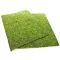 Фон моховий Repti-Zoo Natural Moss Back & Bottom 50x25см 2шт. (NCM5025) — Фото 11