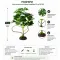 Штучна рослина Hobby Schefflera 55 см (37710) для тераріуму, акватераріуму та палюдаріуму — Фото 4