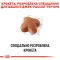 Сухий корм Royal Canin JACK RUSSEL ADULT для дорослих собак породи Джек Расел Тер`єр 7,5 кг — Фото 9