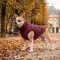 Курточка для собак WAUDOG Re-clothes двостороння, XS25, A 22-25, B 36-38, C 27-30, бордовий — Фото 7