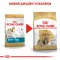 Сухий корм Royal Canin SHIH TZU ADULT для дорослих собак породи Ши-цу 1,5 кг — Фото 6