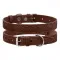 Нашийник для Собак Шкіряний BronzeDog Classic з тисненням Коричневий 2XS — Фото 4