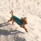 Жилет Pet Fashion «E.Vest» для собак, розмір SM, морська хвиля — Фото 9