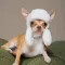 Шапка Pet Fashion Bubo для собак, розмір M, сіра — Фото 7