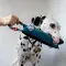 Іграшка для собак WAUDOG Fun з пищалкою, малюнок Рік та Морті 1, L, Ш 11 см, Д 26 см — Фото 18