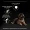 Сухий корм PRO PLAN Large Robust Puppy <2 Healthy Start для цуценят великих порід масивної статури з куркою 12 кг — Фото 17