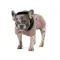 Попона Pet Fashion Max для собак M2 — Фото 7
