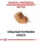 Сухий корм Royal Canin SHIH TZU ADULT для дорослих собак породи Ши-цу 1,5 кг — Фото 7