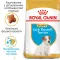 Сухий корм Royal Canin JACK RUSSEL PUPPY для цуценят породи Джек Расел Тер`єр 1,5 кг — Фото 8
