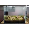 Ґрунт для акваріума Aquario Neo Soil Plant 8л (neo-soil-plant-8) — Фото 12