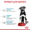 Сухий корм Royal Canin MAXI PUPPY для цуценят великих порід 4 кг — Фото 10