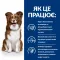 Hill’s Prescription Diet Derm Defense Сухий корм при атопічному дерматиті у собак, з куркою, 1,5 кг — Фото 12