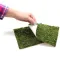 Фон моховий Repti-Zoo Natural Moss Back & Bottom 20x30см 2шт. (NCM3020) — Фото 12