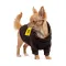 Толстовка Pet Fashion «Megan» для дівчинки, розмір XS2, шоколадна — Фото 5